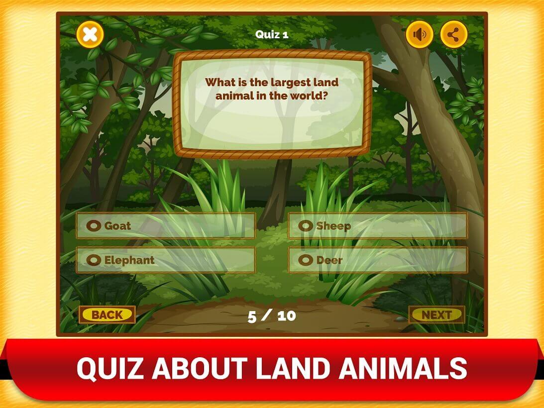 animal quiz for kids