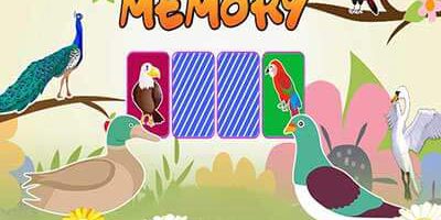 Bird Matching Game