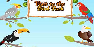 online bird game for kids Bird Games For Kids Free