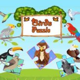 bird jigsaw puzzles for kids