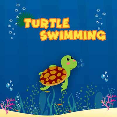 turtle-swim