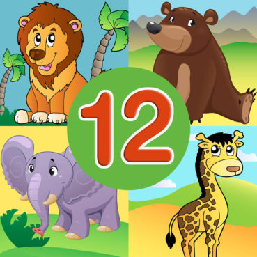 Animal quiz 12
