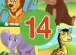 Animal Quiz 14