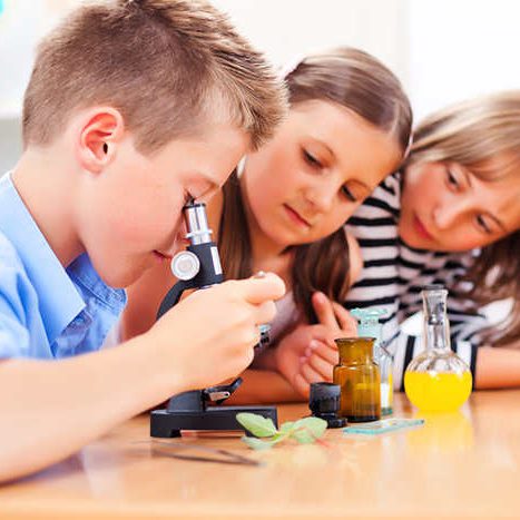 stem activities for kindergarten