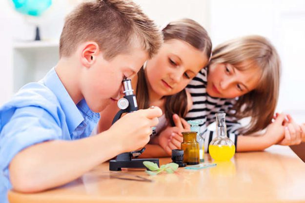 stem-activities-for-kindergarten (2) stem activities for kindergarten