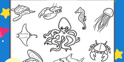 sea animals coloring pages