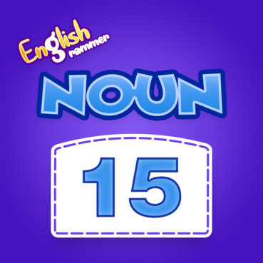 Noun Quiz 15