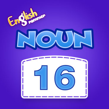 Noun Quiz 16