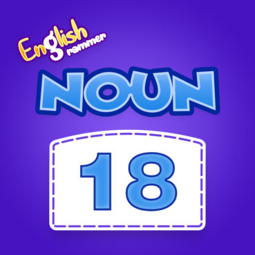 Noun Quiz 18