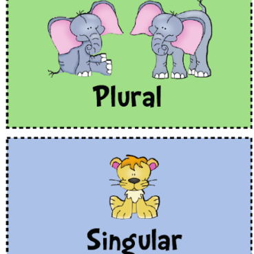 singular plural singular plural