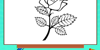 Rose coloring pages