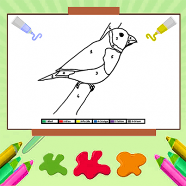 Color by number Bird