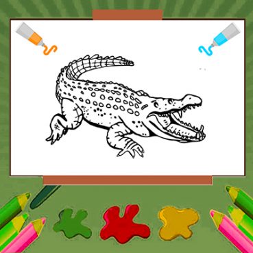alligator coloring pages