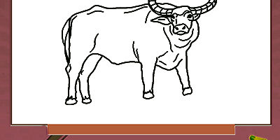 buffalo buffalo-worksheet-for-kids