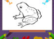 frog-icon