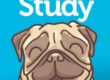 Studypug Icon
