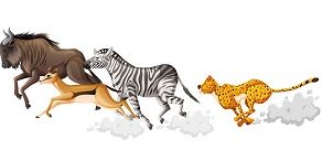 How Animals Move Worksheet