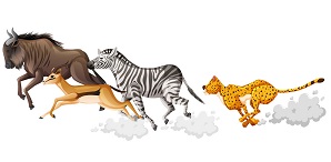 How Animals Move Worksheet