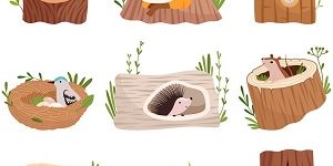 Animals homes Animals homes