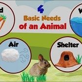 Basic Needs Of Animals Basic Needs Of Animals