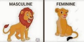 Masculine and Feminine