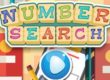 Number Search Game