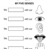 5 senses