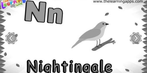 ABC Animal N ABC Animal N