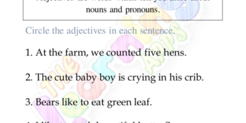 Adjectives Worksheet 05 Adjectives Worksheet 05