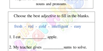 Adjectives Worksheet 07