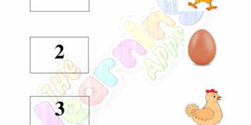 Animal Life Cycle 05 Animal Life Cycle 05