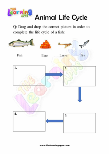 Animal Life Cycle 09