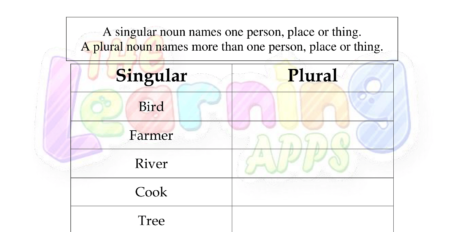 Singular Plural 2