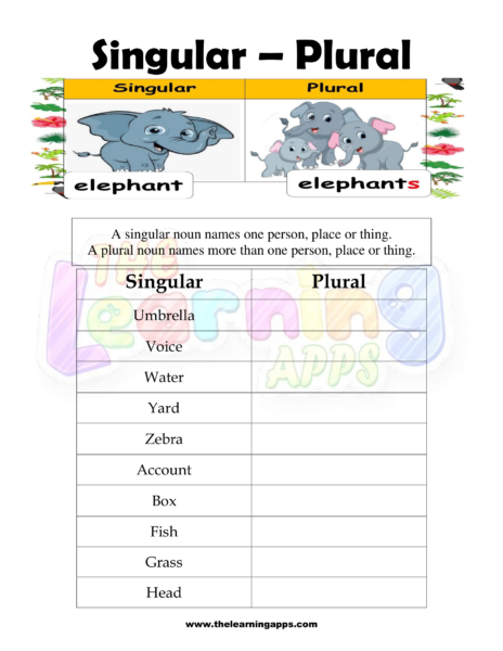 Singular Plural 5