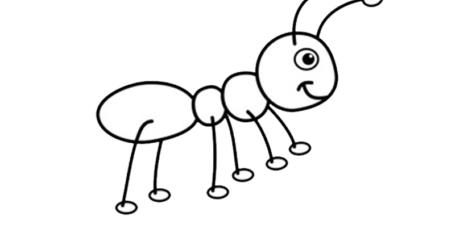 ant 06