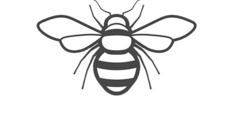 bumble-bee 04 bumble-bee 04