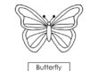 butterfly 01