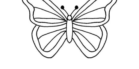 butterfly 01 butterfly 01