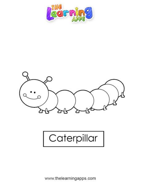 caterpiller 05