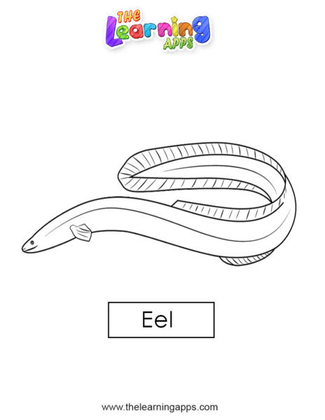 eel 05