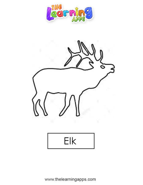 elk 01