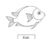 fish 01