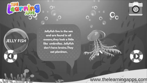 Jelly Fish