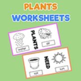 Plant Worksheet