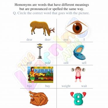 Homonyms 01 Homonyms 01