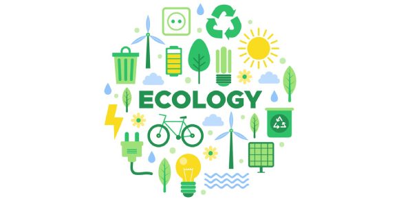 ecology-quiz
