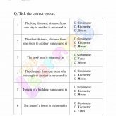 Measurement Worksheet