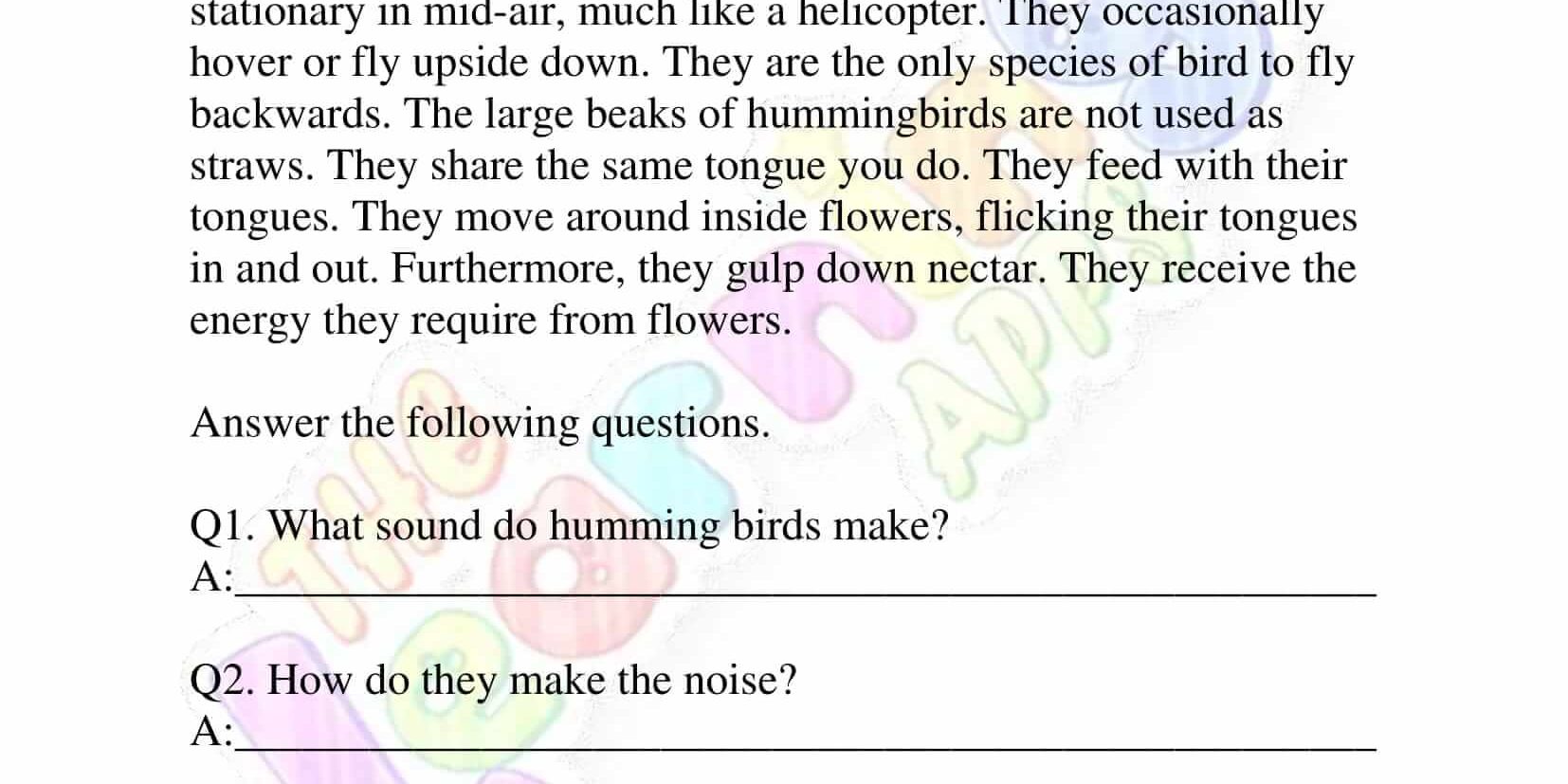 Non Fiction Reading Passages - Grade 2 - Humming Bird