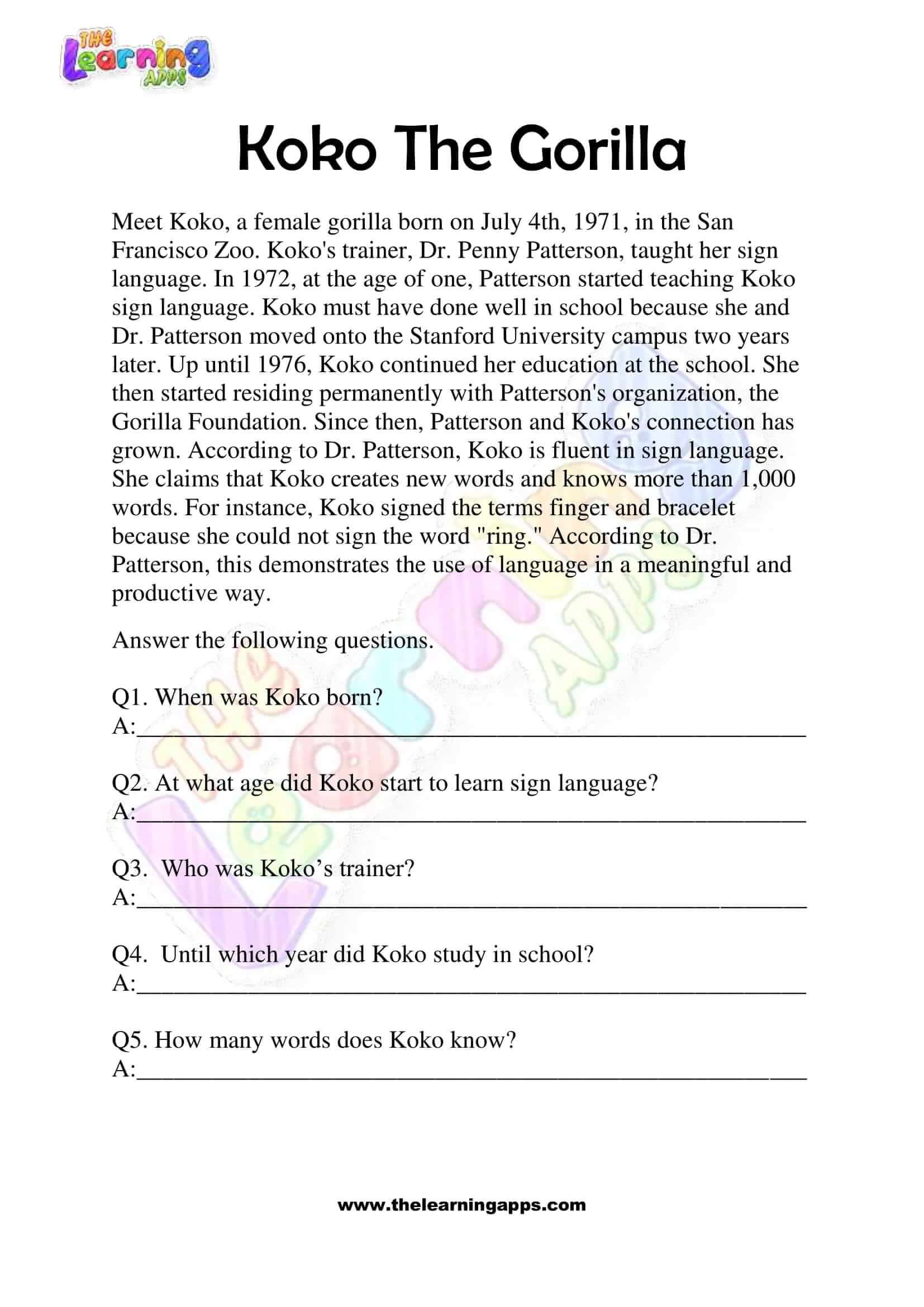 Non Fiction Reading Passages - Grade 2 - Koko The Gorilla