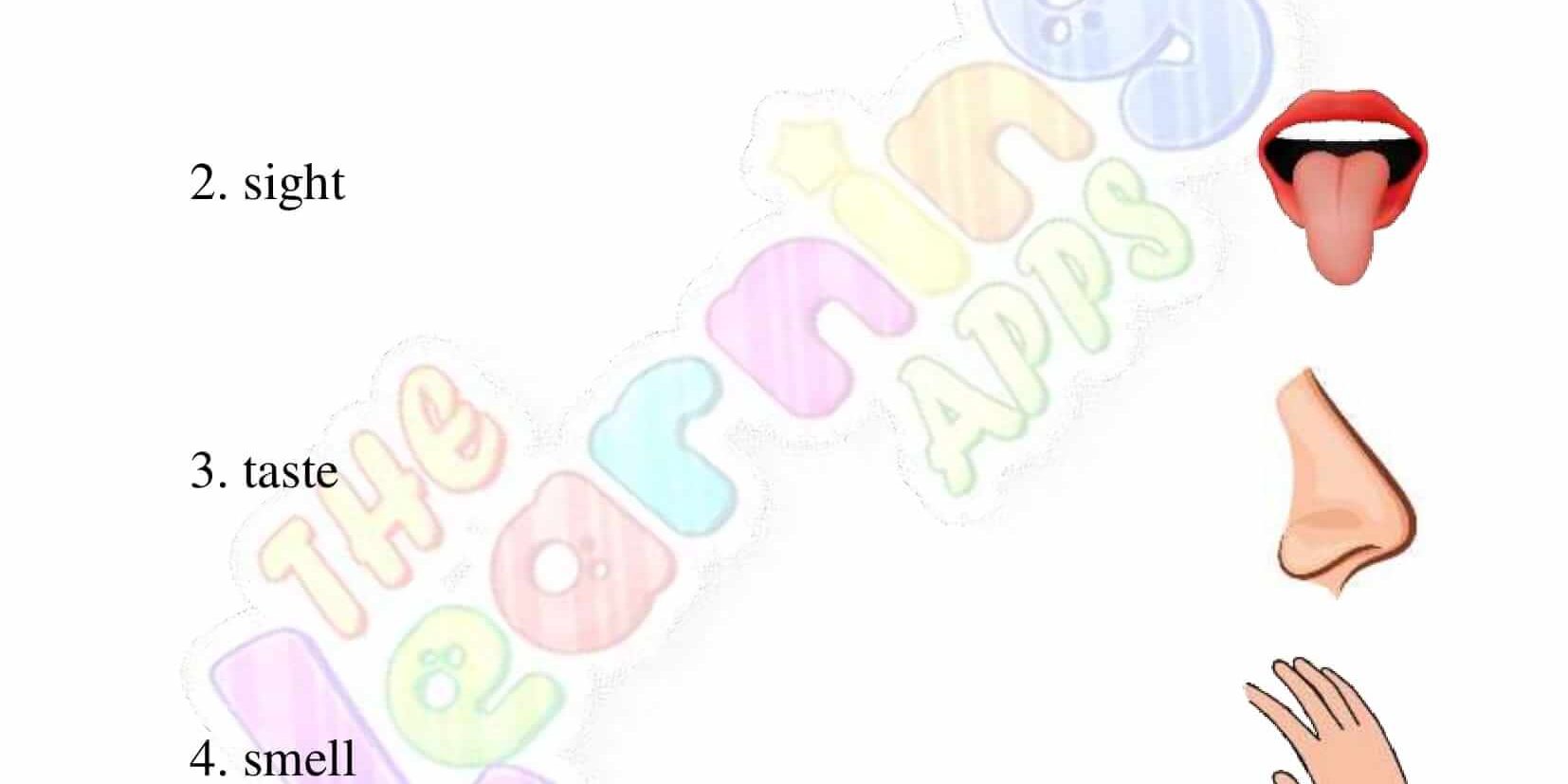 Senses Worksheet - Grade 2 - Activity 1